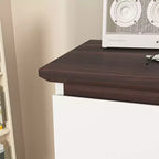 Comò a 5 cassetti per camera da letto, cassettiera moderna per armadio, mobile contenitore con cassetti color bianco e noce